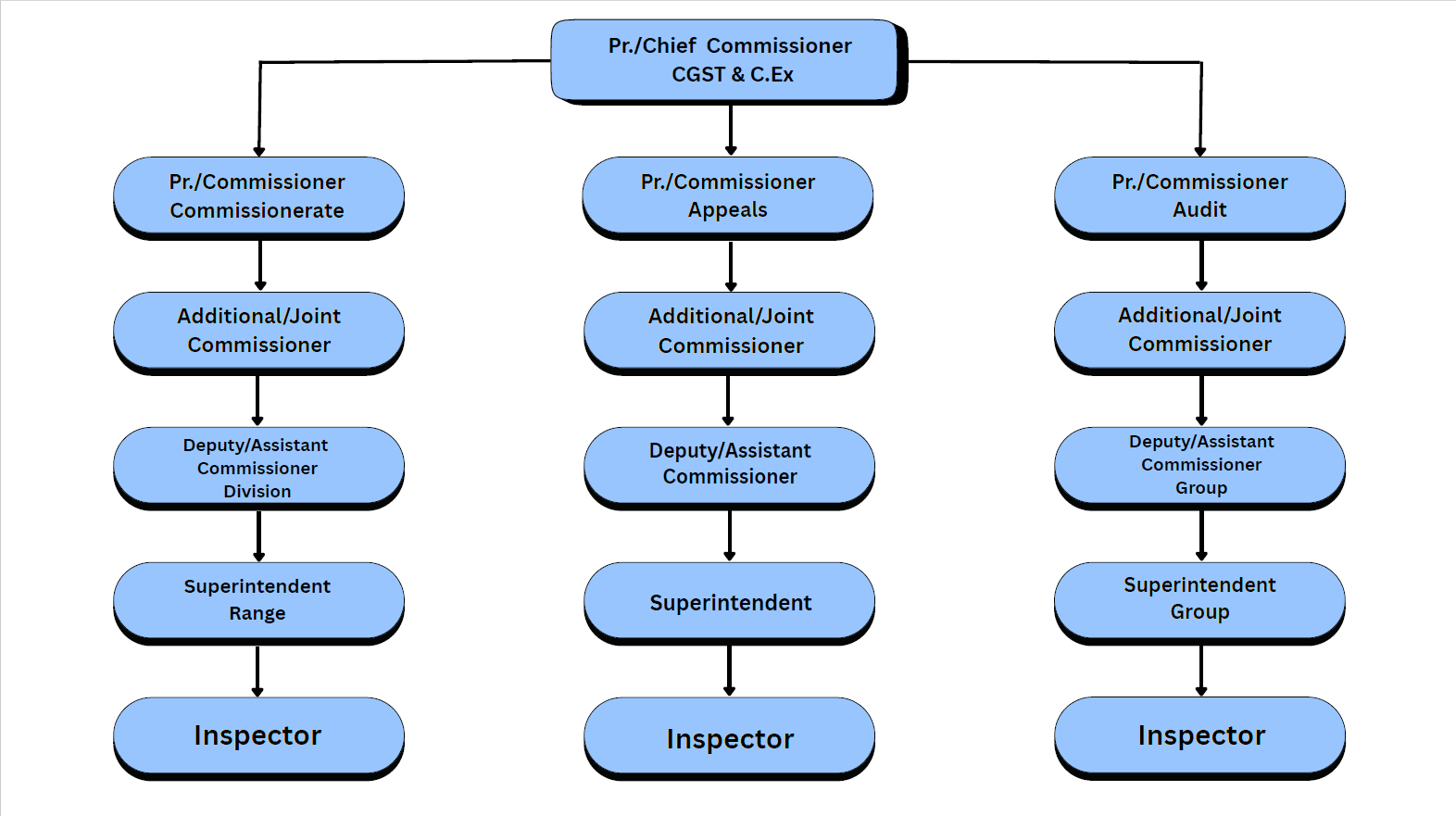 Organizational chart at the zonal level